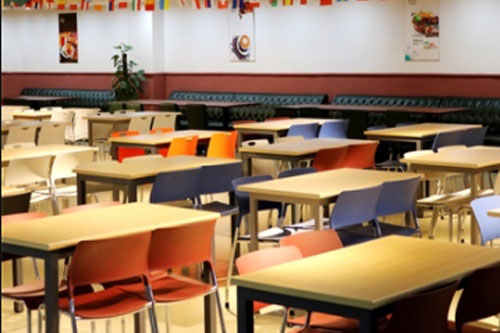读国际学校为什么要选择青岛盟诺学校，有哪些优势？